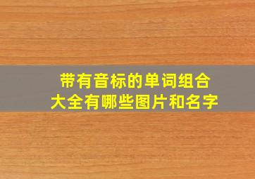 带有音标的单词组合大全有哪些图片和名字