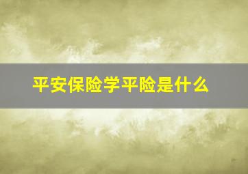 平安保险学平险是什么