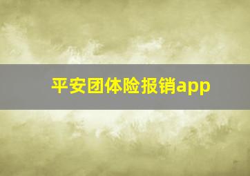 平安团体险报销app