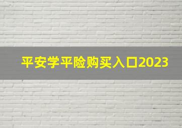 平安学平险购买入口2023