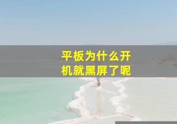 平板为什么开机就黑屏了呢