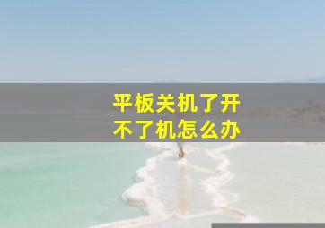 平板关机了开不了机怎么办