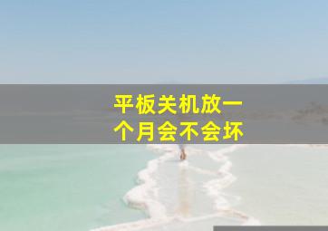 平板关机放一个月会不会坏