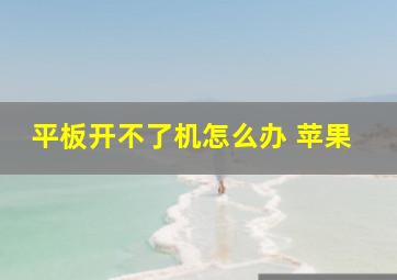 平板开不了机怎么办 苹果