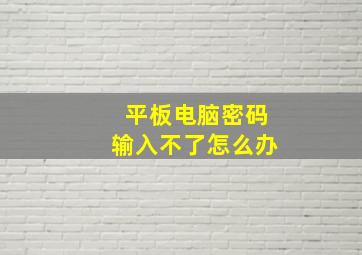 平板电脑密码输入不了怎么办