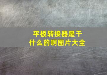 平板转接器是干什么的啊图片大全