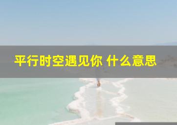 平行时空遇见你 什么意思