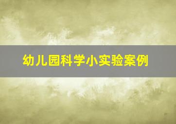 幼儿园科学小实验案例