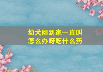 幼犬刚到家一直叫怎么办呀吃什么药