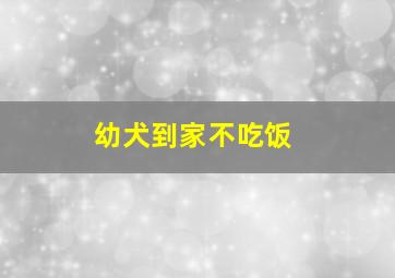 幼犬到家不吃饭