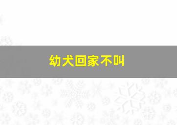 幼犬回家不叫