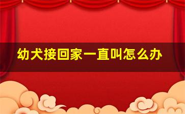 幼犬接回家一直叫怎么办