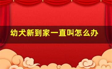 幼犬新到家一直叫怎么办