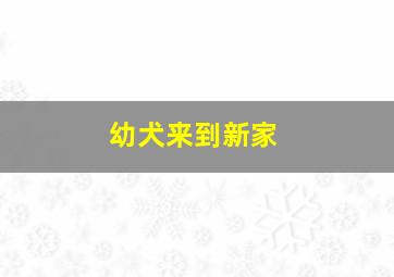 幼犬来到新家