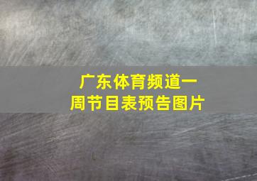 广东体育频道一周节目表预告图片