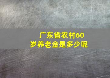 广东省农村60岁养老金是多少呢