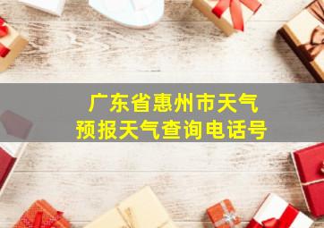 广东省惠州市天气预报天气查询电话号