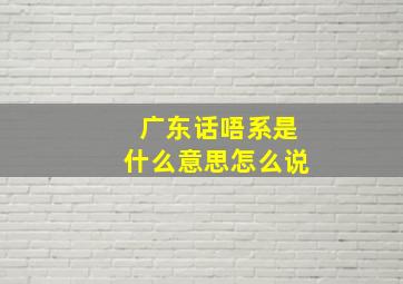 广东话唔系是什么意思怎么说