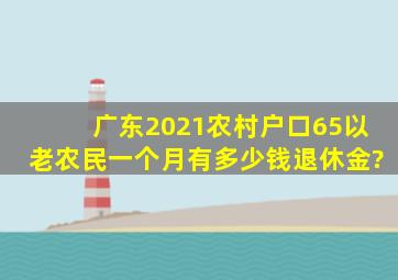 广东2021农村户口65以老农民一个月有多少钱退休金?