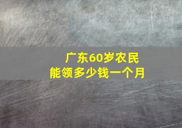 广东60岁农民能领多少钱一个月