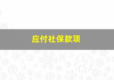 应付社保款项