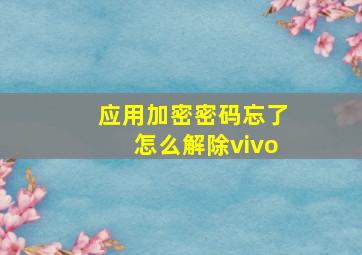 应用加密密码忘了怎么解除vivo