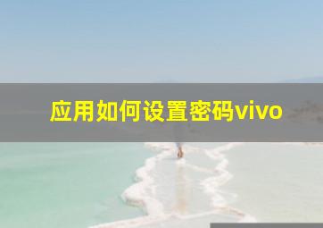 应用如何设置密码vivo