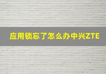 应用锁忘了怎么办中兴ZTE