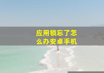 应用锁忘了怎么办安卓手机