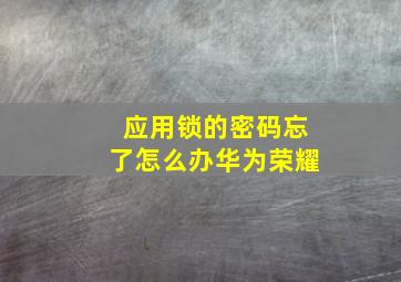 应用锁的密码忘了怎么办华为荣耀