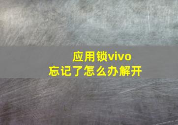 应用锁vivo忘记了怎么办解开