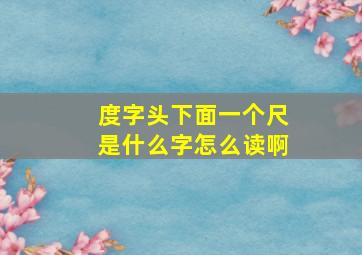 度字头下面一个尺是什么字怎么读啊