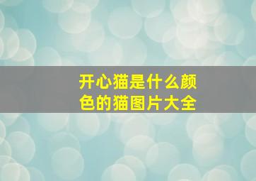 开心猫是什么颜色的猫图片大全