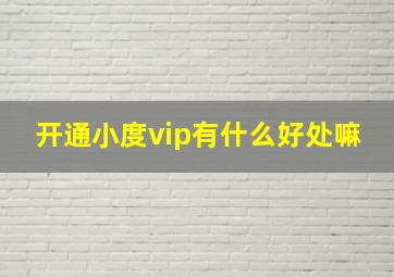 开通小度vip有什么好处嘛