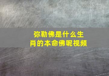 弥勒佛是什么生肖的本命佛呢视频