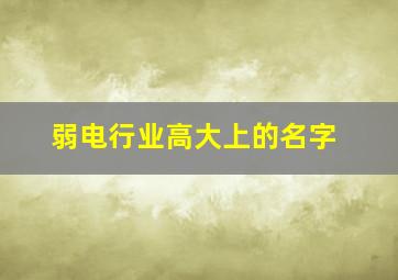 弱电行业高大上的名字