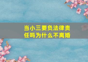 当小三要负法律责任吗为什么不离婚