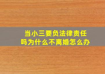 当小三要负法律责任吗为什么不离婚怎么办