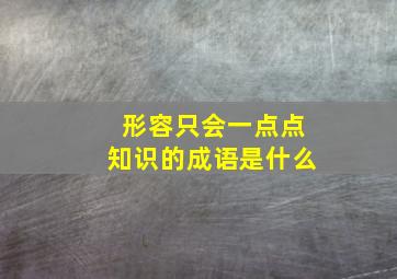 形容只会一点点知识的成语是什么