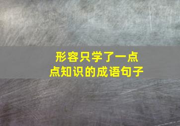 形容只学了一点点知识的成语句子