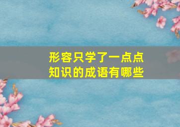 形容只学了一点点知识的成语有哪些