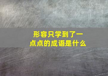 形容只学到了一点点的成语是什么