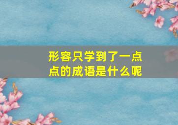 形容只学到了一点点的成语是什么呢