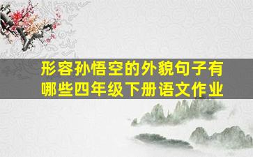 形容孙悟空的外貌句子有哪些四年级下册语文作业