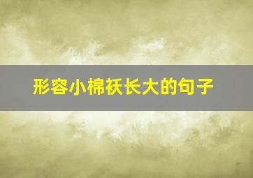 形容小棉袄长大的句子