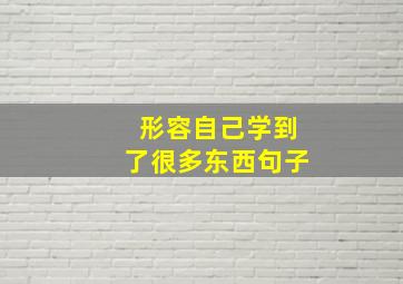 形容自己学到了很多东西句子