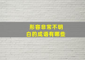 形容非常不明白的成语有哪些