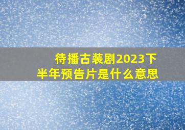 待播古装剧2023下半年预告片是什么意思