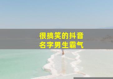 很搞笑的抖音名字男生霸气