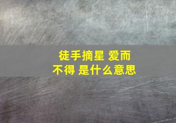 徒手摘星 爱而不得 是什么意思